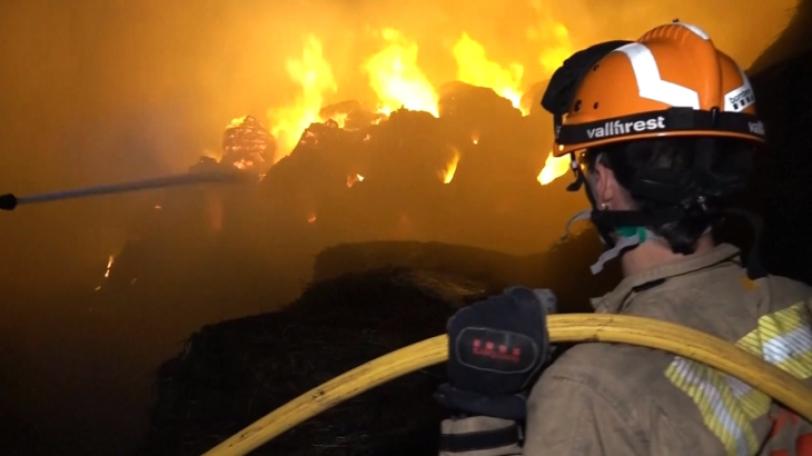 European Heatwave Triggers Wildfires, 8 Confirmed Dead