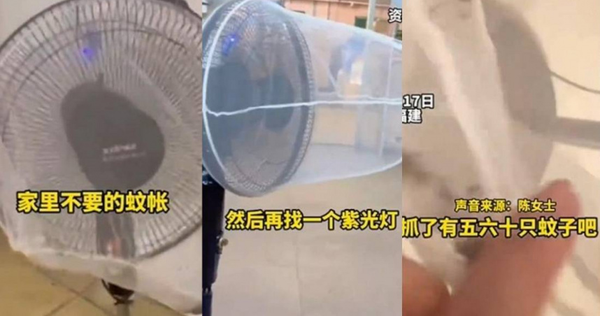 她自製捕蚊燈「5小時抓60隻」網友模仿潮興起